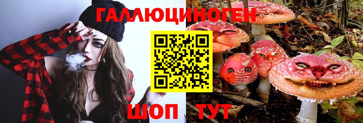 Псилоцибиновые грибы Magic Shrooms Шахты