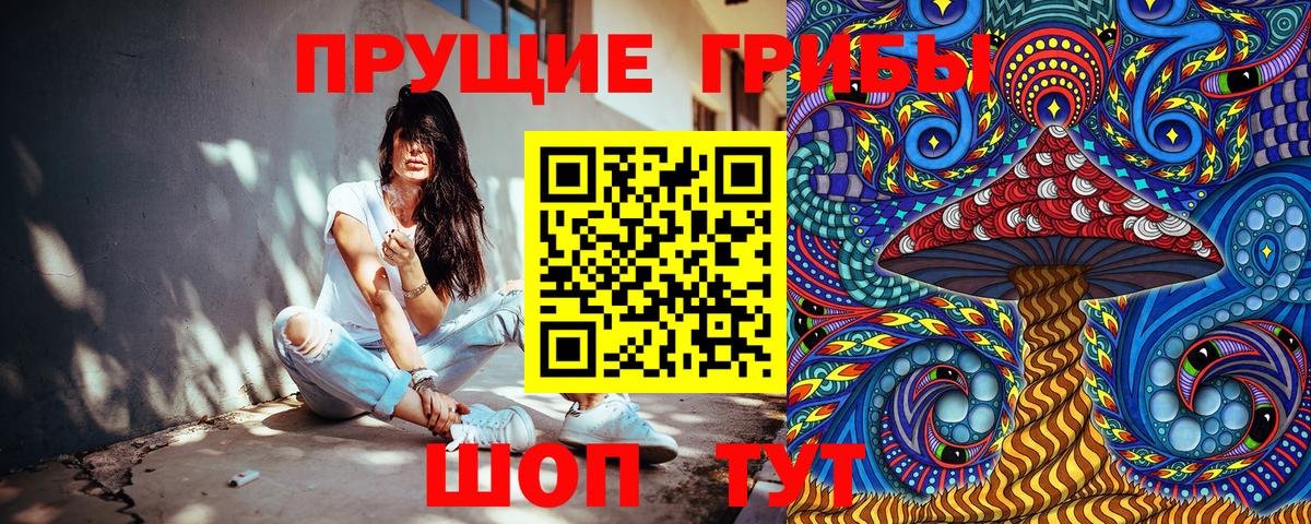 купить наркотики сайты  Псилоцибиновые грибы мицелий  Вход с VPN  Шахты 